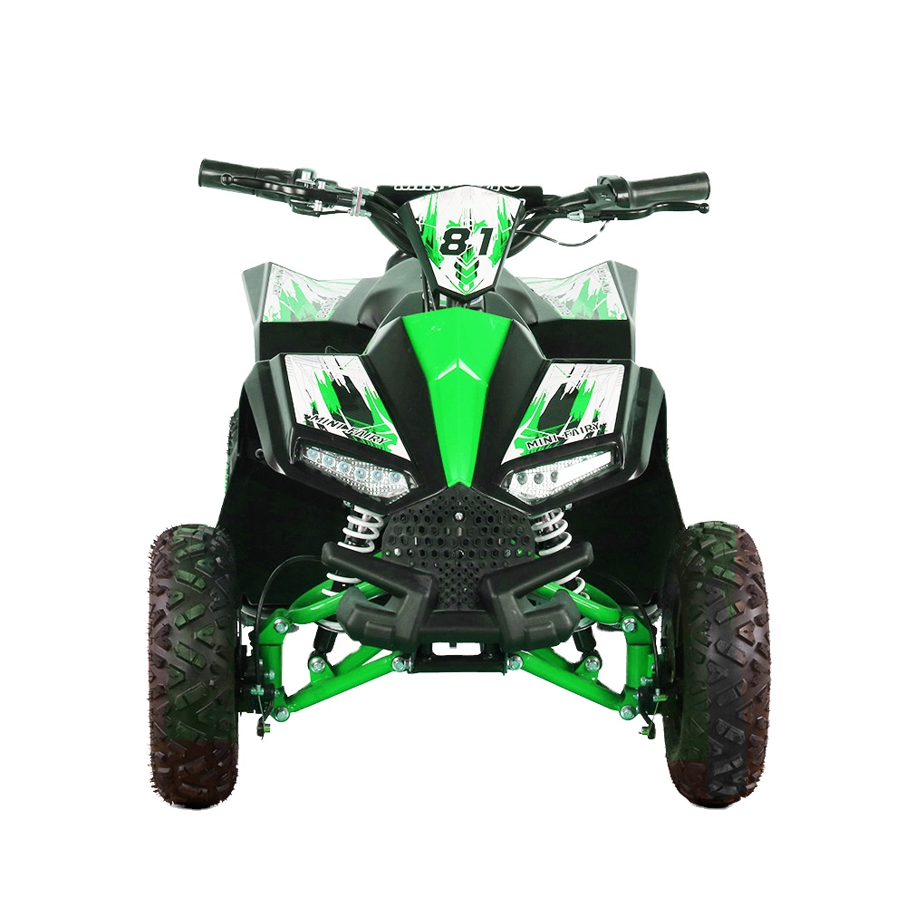 Kids Outdoor Quad Bike - Kids Electric ATV Quad 1000W 48V
