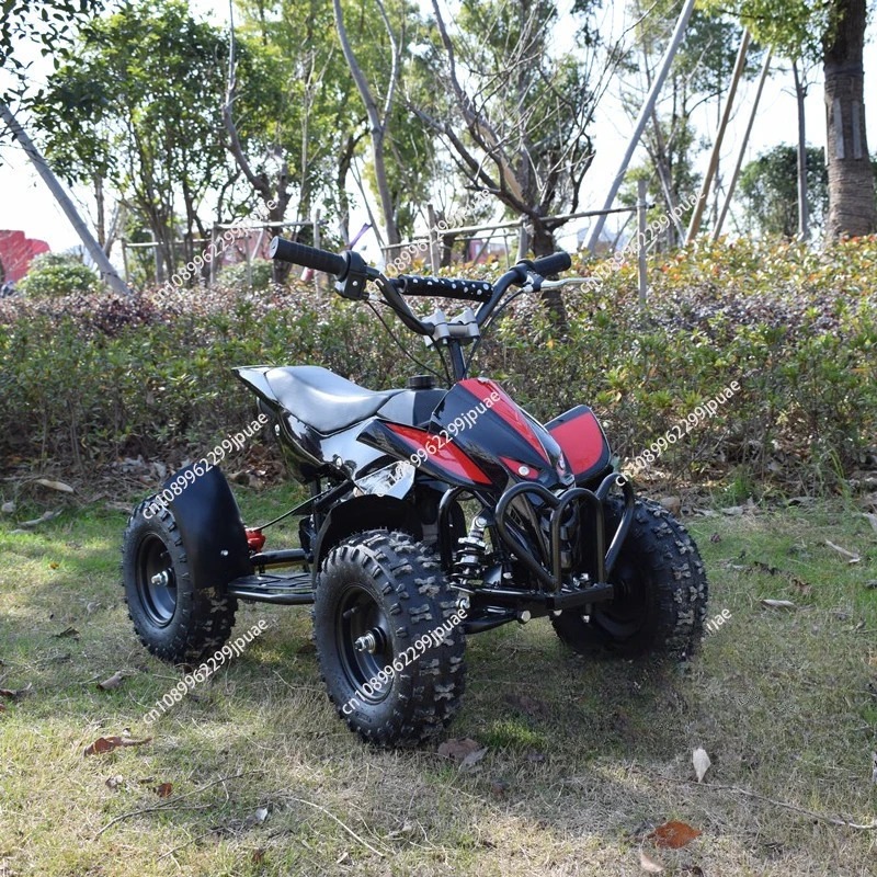 49cc 2-Stroke Mini Motorcycle  - Kids Outdoor Quad Bike recension och pris