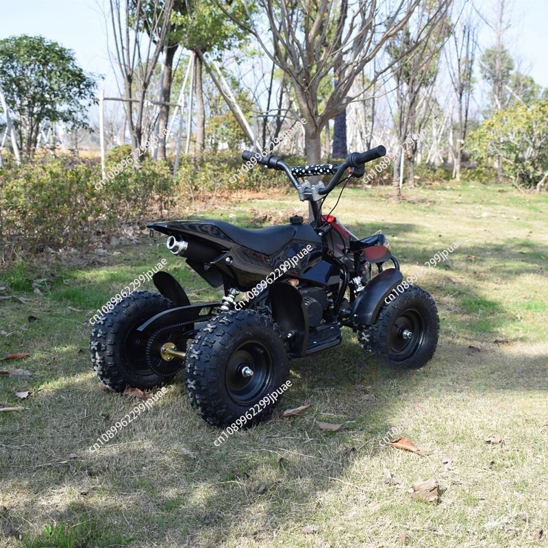 49cc 2-Stroke Mini Motorcycle  - Kids Outdoor Quad Bike recension och pris