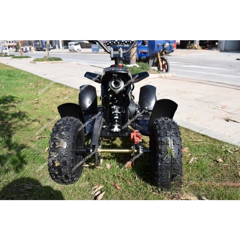 49cc 2-Stroke Mini Motorcycle  - Kids Outdoor Quad Bike recension och pris