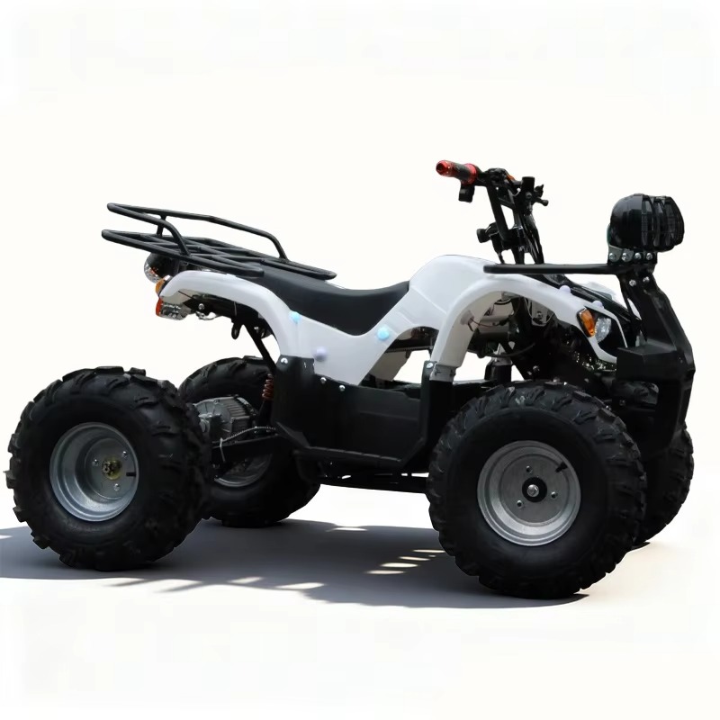 750W 48V Kids Electric ATV Qua - Kids Outdoor Quad Bike recension och pris
