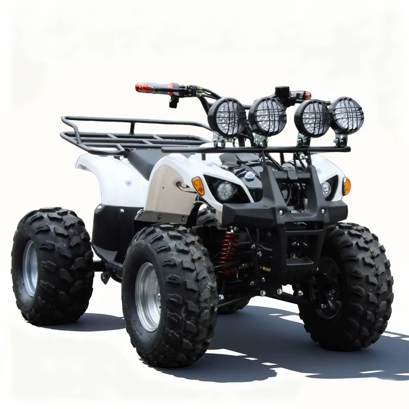 750W 48V Kids Electric ATV Qua - Kids Outdoor Quad Bike recension och pris