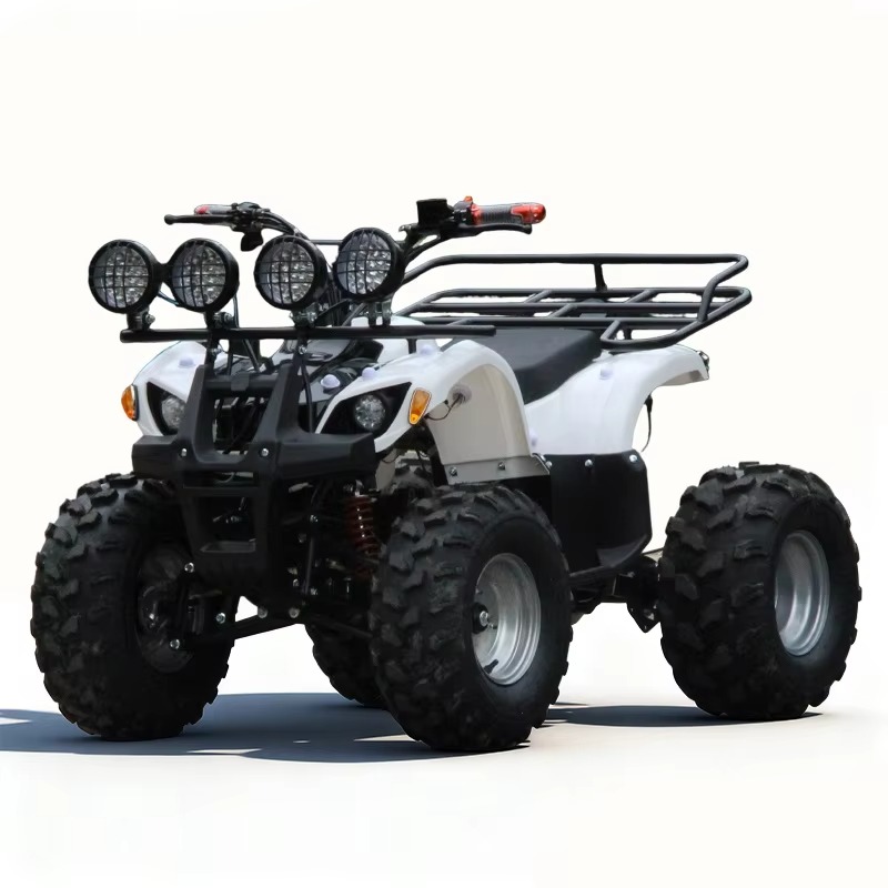 750W 48V Kids Electric ATV Qua - Kids Outdoor Quad Bike recension och pris