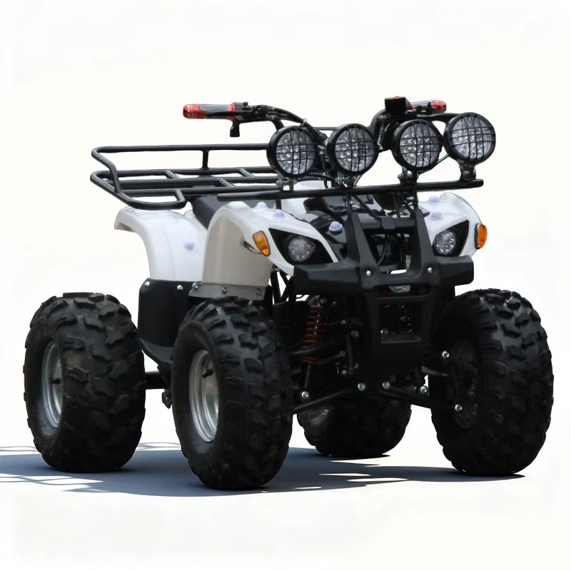 750W 48V Kids Electric ATV Qua - Kids Outdoor Quad Bike recension och pris