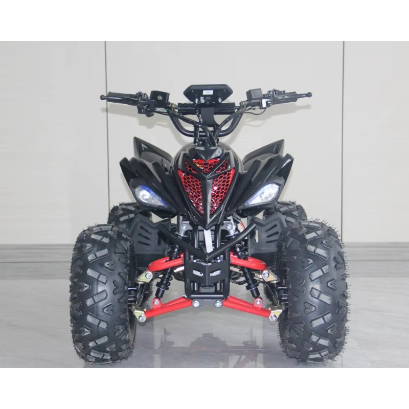 48V 1000W Electric Kids ATV 4  - Kids Outdoor Quad Bike recension och pris